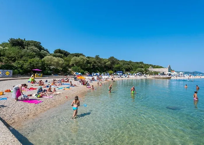 Iris - With Beautiful View